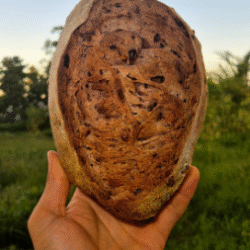 Vinho com Castanha e Passas